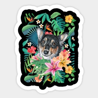 Tropical Black Headed Tricolor White Corgi Sticker